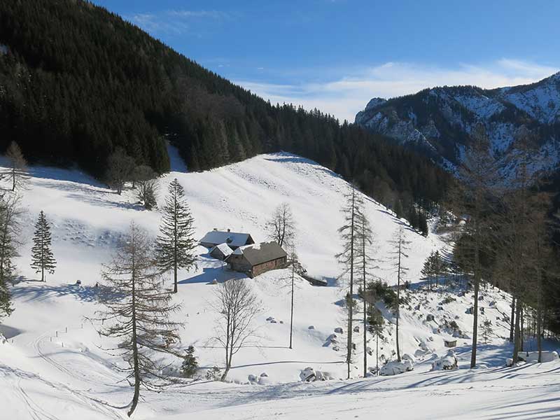 Buchbergkogel